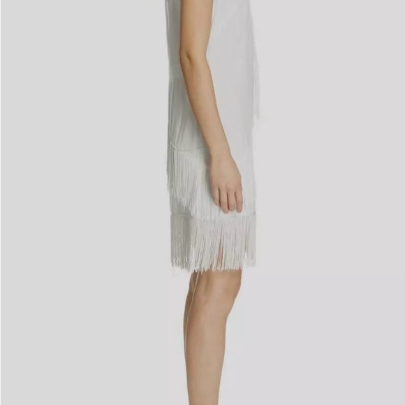 $498 Joie Women's White Tiered Fringe Jewel Neck Amiyah Shift Dress Size 2 - Picture 3 of 6